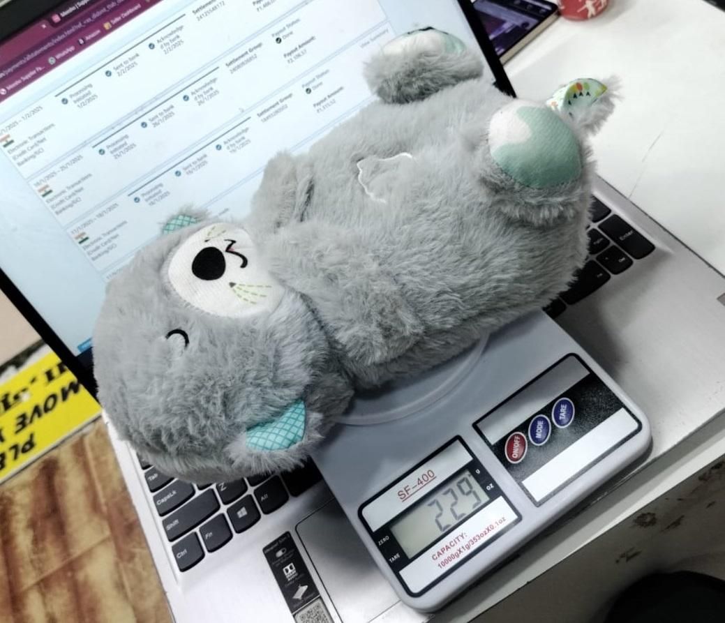 𝗕𝗿𝗲𝗮𝘁𝗵𝗶𝗻𝗴 𝗧𝗲𝗱𝗱𝘆 𝗕𝗲𝗮𝗿 𝘄𝗶𝘁𝗵 𝗦𝗼𝗼𝘁𝗵𝗶𝗻𝗴 𝗠𝘂𝘀𝗶𝗰❟ 𝗖𝗼𝗺𝗳𝗼𝗿𝘁 𝗣𝗹𝘂𝘀𝗵